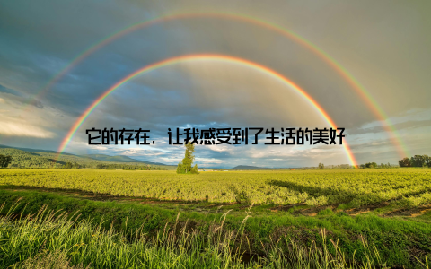 它的存在, 让我感受到了生活的美好