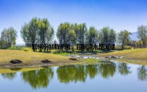 如何给盆栽杀菌, 控制浇水是关键