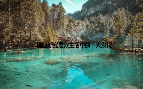 , 绿植新宠是我生活中的一大发现