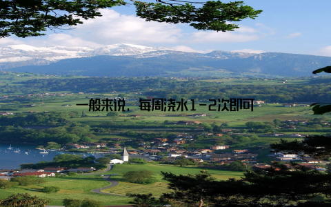 一般来说, 每周浇水1-2次即可