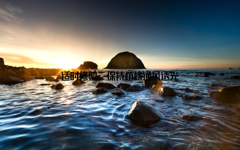 适时修剪, 保持植株通风透光