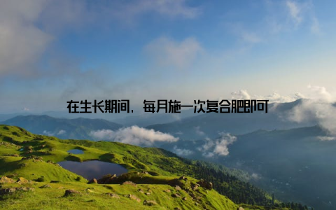 在生长期间, 每月施一次复合肥即可