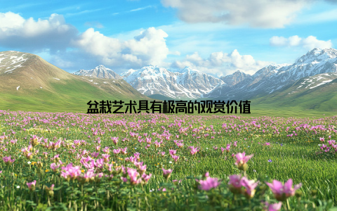 盆栽艺术具有极高的观赏价值