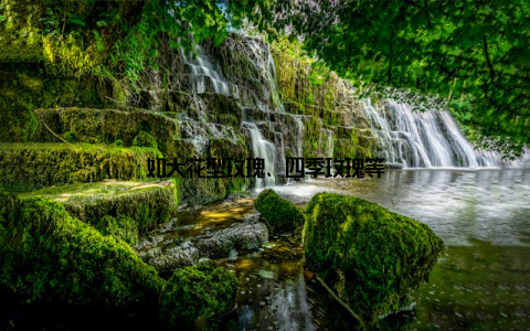 如大花型玫瑰、四季玫瑰等