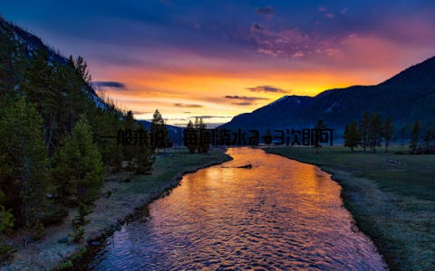 一般来说, 每周浇水2-3次即可