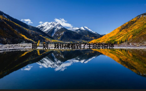 那一刻, 我仿佛看到了生命的奇迹