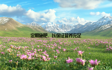 定期施肥, 以保证营养充足