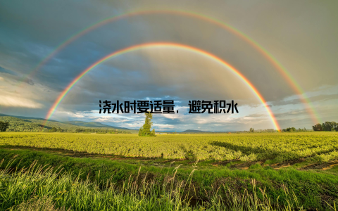 浇水时要适量, 避免积水