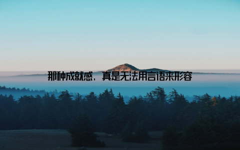 那种成就感, 真是无法用言语来形容