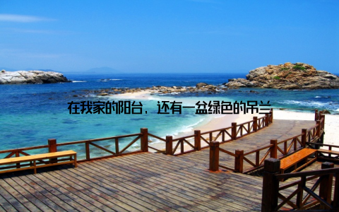 在我家的阳台, 还有一盆绿色的吊兰