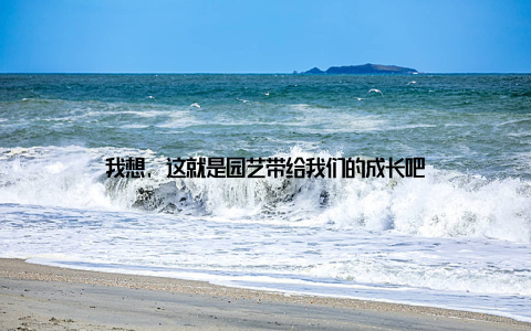 我想, 这就是园艺带给我们的成长吧