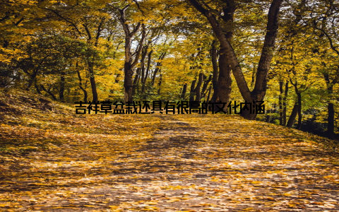 吉祥草盆栽还具有很高的文化内涵