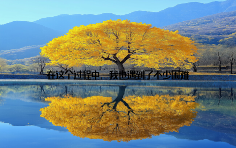 在这个过程中, 我也遇到了不少困难