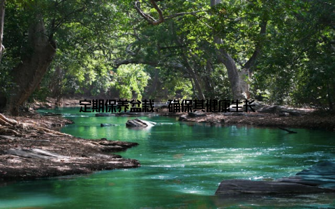 定期保养盆栽, 确保其健康生长