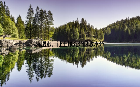 浇透水, 让土壤充分吸收水分