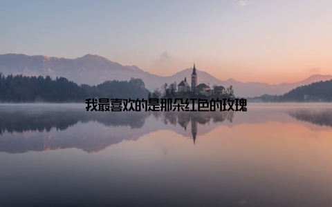 我最喜欢的是那朵红色的玫瑰