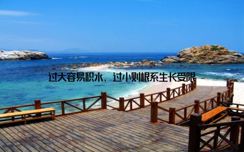 过大容易积水, 过小则根系生长受限