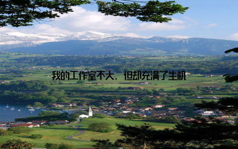 我的工作室不大, 但却充满了生机