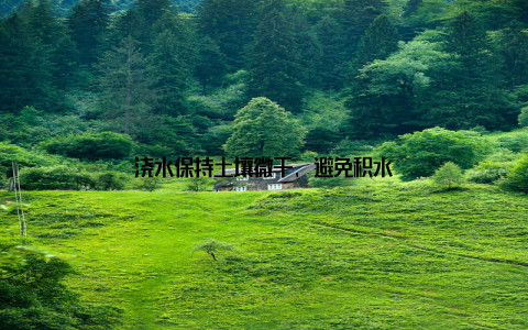 浇水保持土壤微干, 避免积水