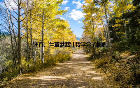 还有, 兰草盆栽让我学会了耐心