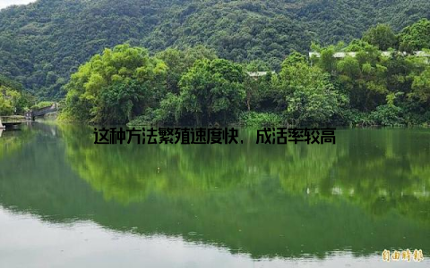 这种方法繁殖速度快, 成活率较高