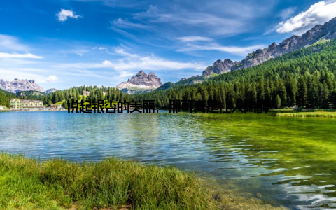说起银杏的美丽, 那可真是让人陶醉