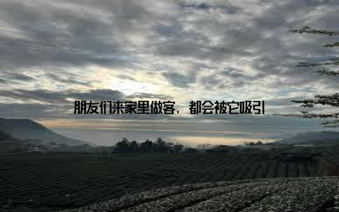 朋友们来家里做客, 都会被它吸引