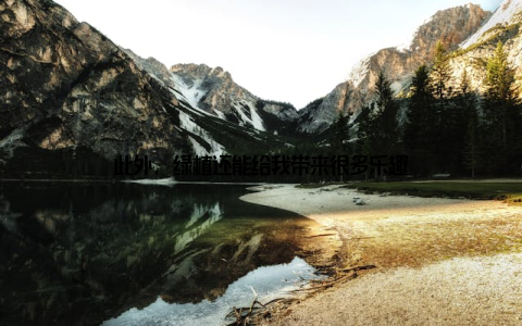 此外, 绿植还能给我带来很多乐趣