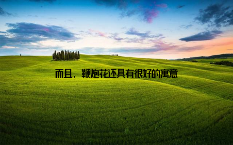 而且, 鞭炮花还具有很好的寓意