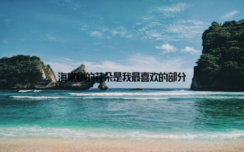 海棠树的花朵是我最喜欢的部分