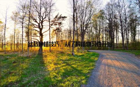 盆栽种植技巧, 从了解植物习性开始