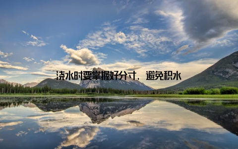 浇水时要掌握好分寸, 避免积水