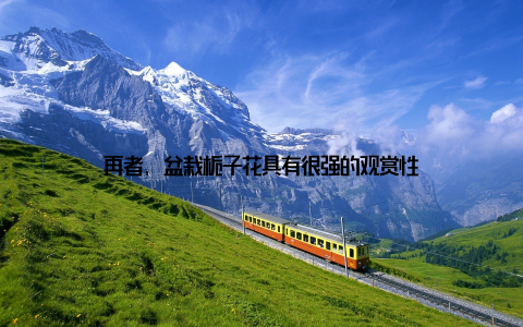 再者, 盆栽栀子花具有很强的观赏性