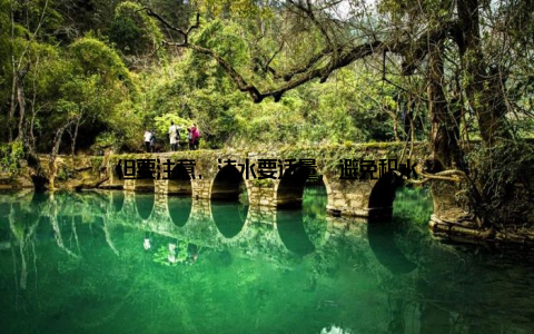 但要注意, 浇水要适量, 避免积水