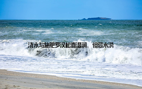 浇水与施肥罗汉松喜湿润, 但忌水涝