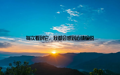 每次看到它, 我都会感到心情愉悦