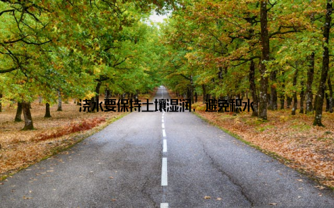 浇水要保持土壤湿润, 避免积水