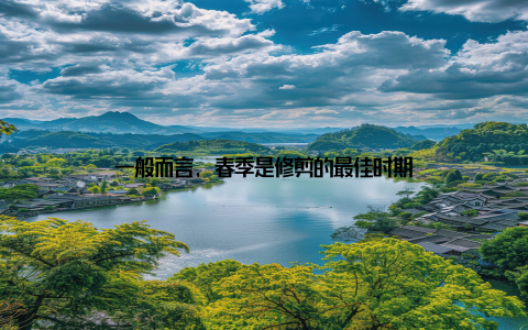 一般而言, 春季是修剪的最佳时期