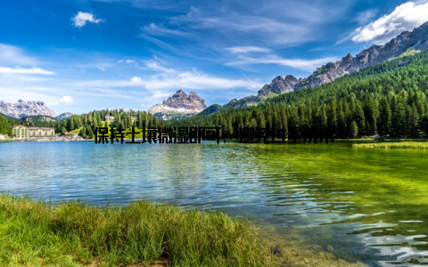 保持土壤微湿即可, 避免过量浇水