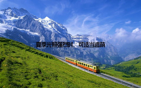 夏季光照强烈时, 可适当遮荫