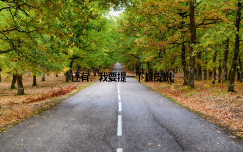 还有, 我要提一下橡皮树