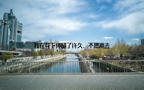 我在花下停留了许久, 不愿离去