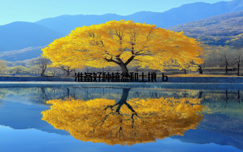 准备好种植盆和土壤 b