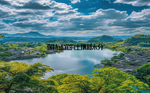 保持适宜的土壤和水分