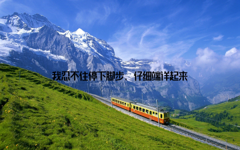 我忍不住停下脚步, 仔细端详起来