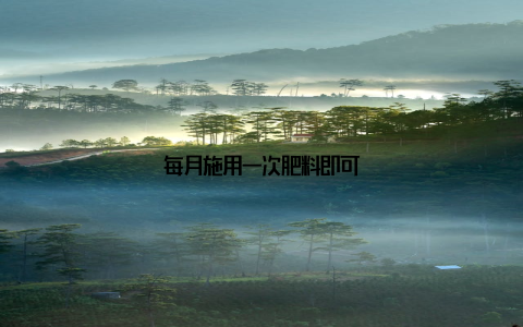 每月施用一次肥料即可