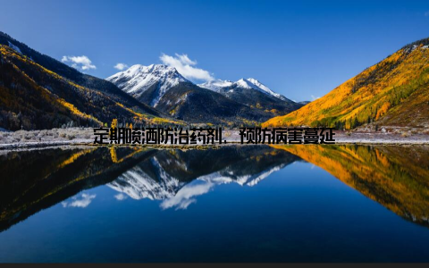 定期喷洒防治药剂, 预防病害蔓延