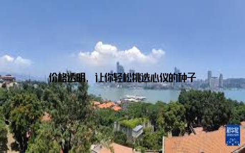 价格透明, 让你轻松挑选心仪的种子