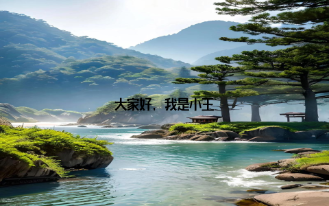 大家好, 我是小王