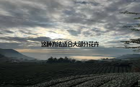 这种方法适合大部分花卉